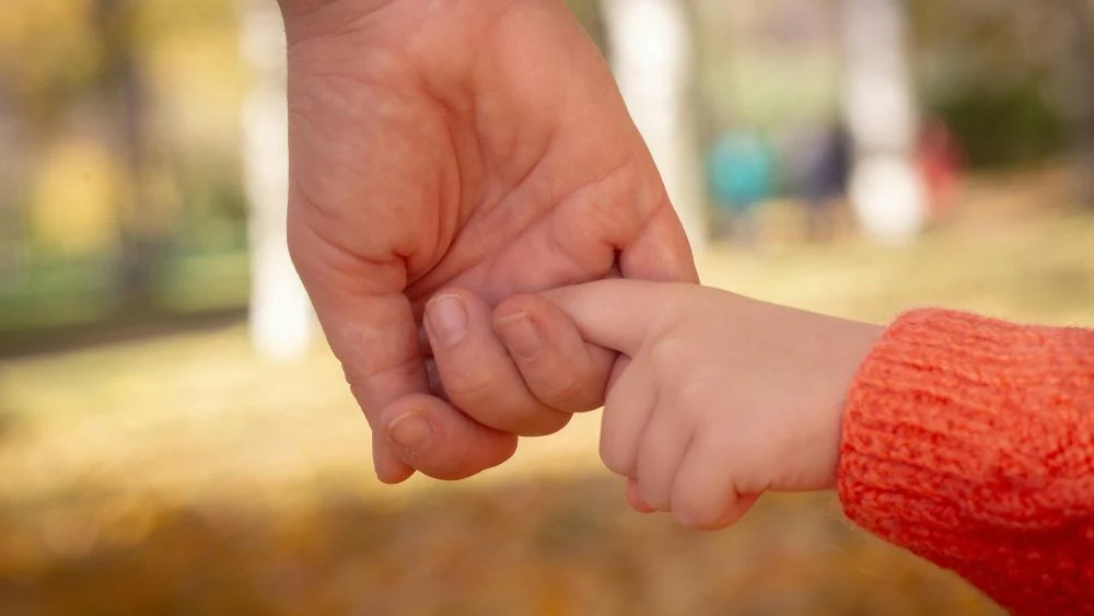 Parental Leave Resources